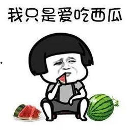 吃瓜娱乐达人是谁,揭秘娱乐圈幕后风云